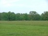 DSCF1335.JPG
