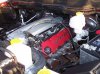 truck11.jpg