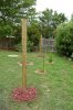 BackYardII0001.JPG