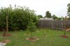BackYardII0008.JPG
