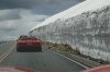 Viper on Trail Ridge_resize.JPG