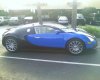 Veyron2.JPG