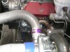 DSCN0742.JPG