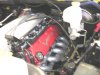 DSCN1423.JPG