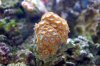 Aquarium400006.JPG