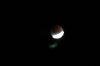 75% Eclipse.JPG
