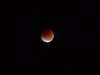 DSCN0413.JPG