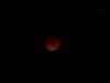DSCN0431.JPG