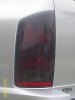 tinted tails 002.jpg