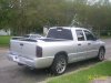 tinted tails 004.jpg