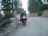 adv.sequoia 019.jpg