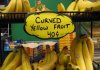 yellow-fruit.jpg