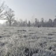 cold