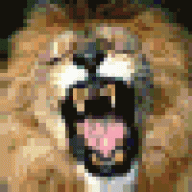 roniarrip