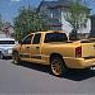 yellowfever#484