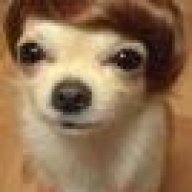 MMShaggy