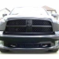 HemiBlackRam