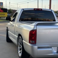 VIBORA JESSE