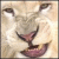 TedSnonnevy