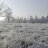 cold