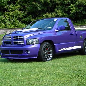 plum crazy