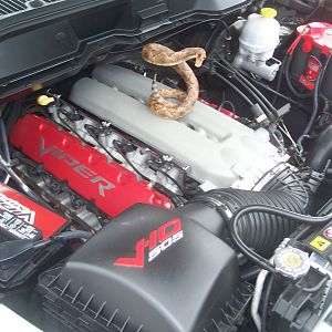 Pictures of my truck