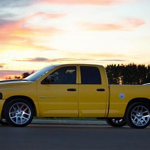 yellow Venom