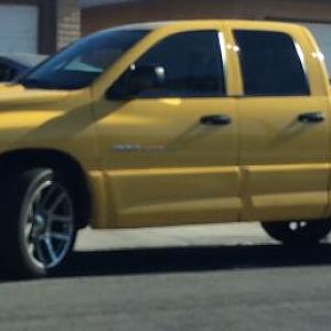 Yellow Fever