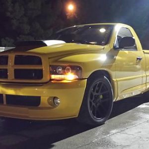 Bee Zilla