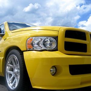 YELLOWFEVER#154