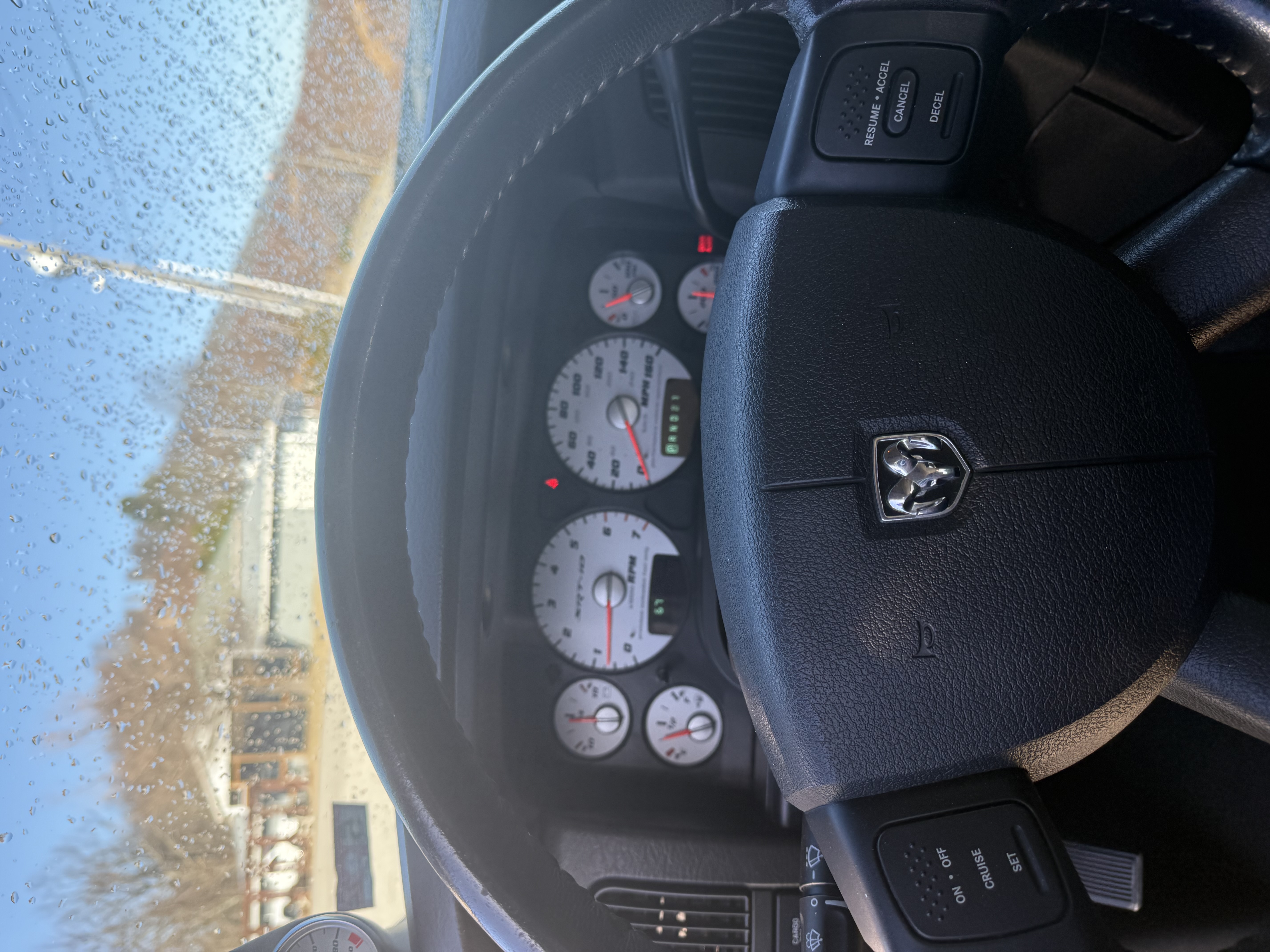 IMG_1169.jpeg