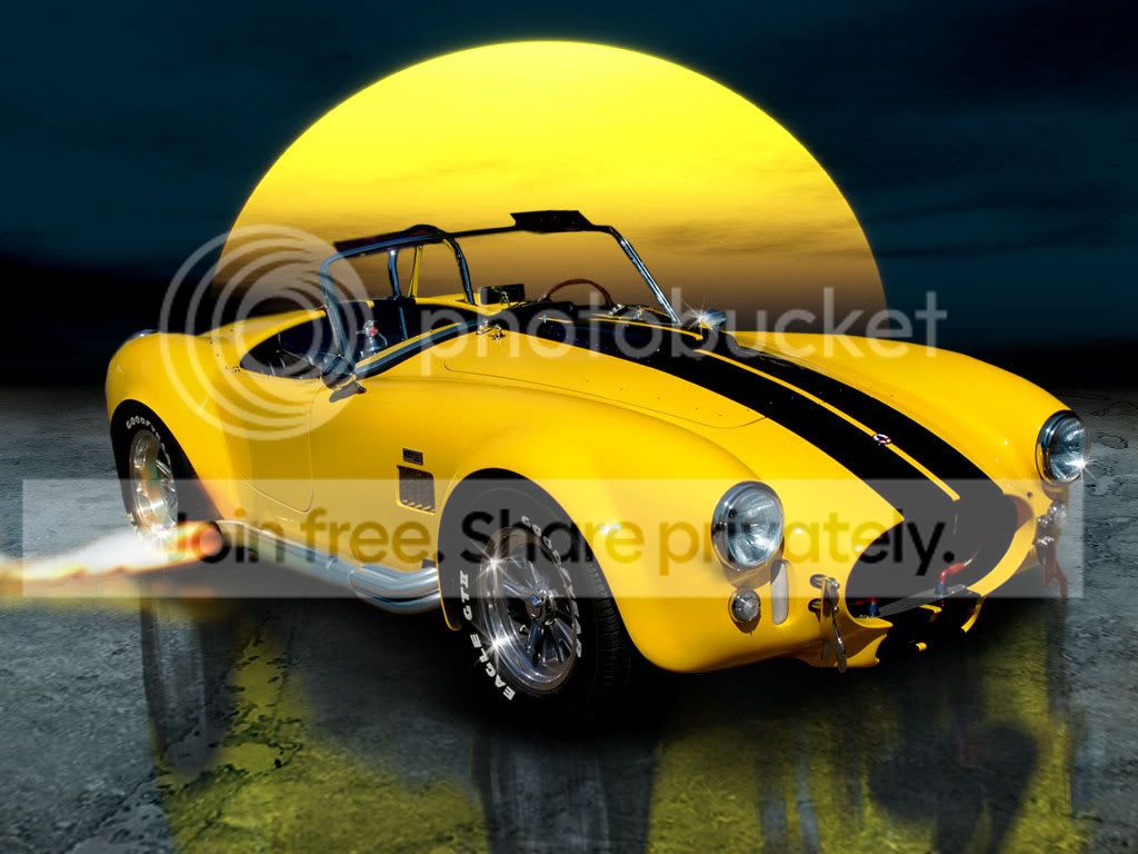 Silverback.jpg