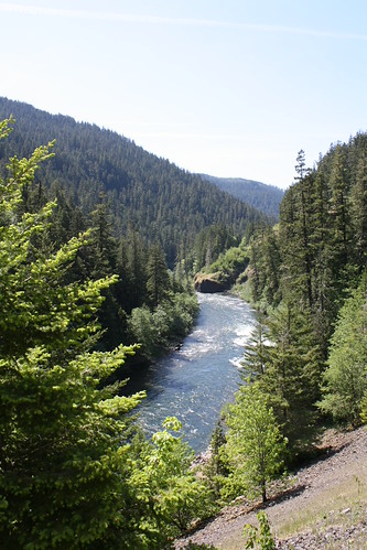 3580143936_1718fd0c64.jpg