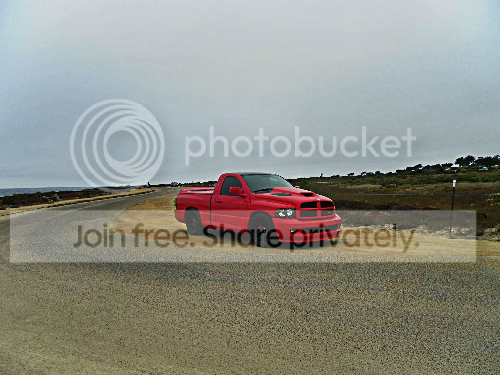 SAM_0938_zps0340697f_Hagrid_zpsa969a52e.jpg
