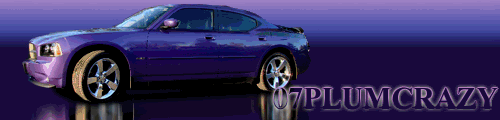 07PlumCrazySig01.gif