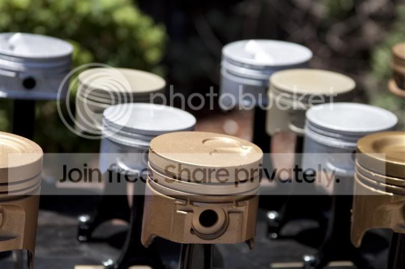 IMG_8561Medium.jpg