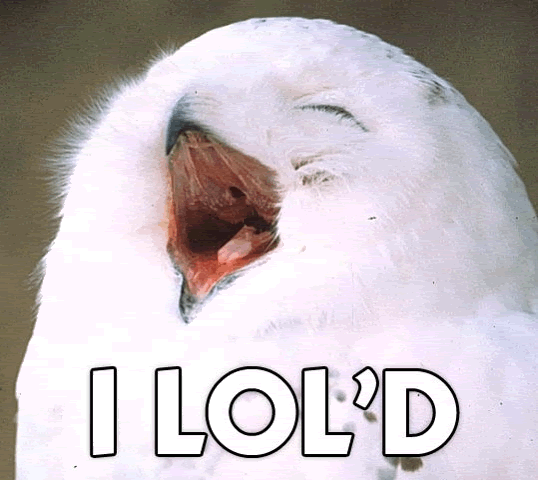 I20lold.gif