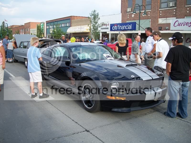 mustang.jpg