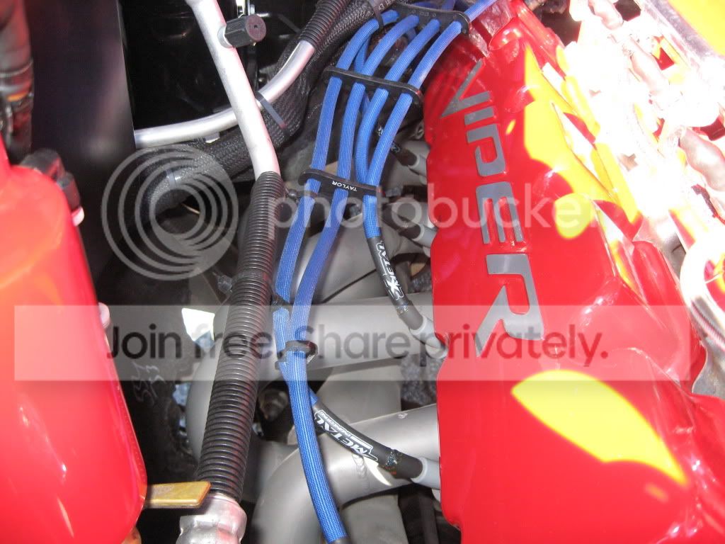 04Viper024.jpg
