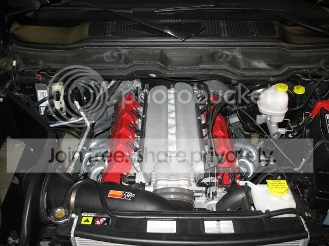 SRT10_Bass_04.jpg