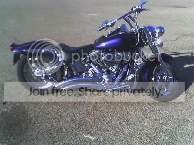 harleychameleon1-1.jpg