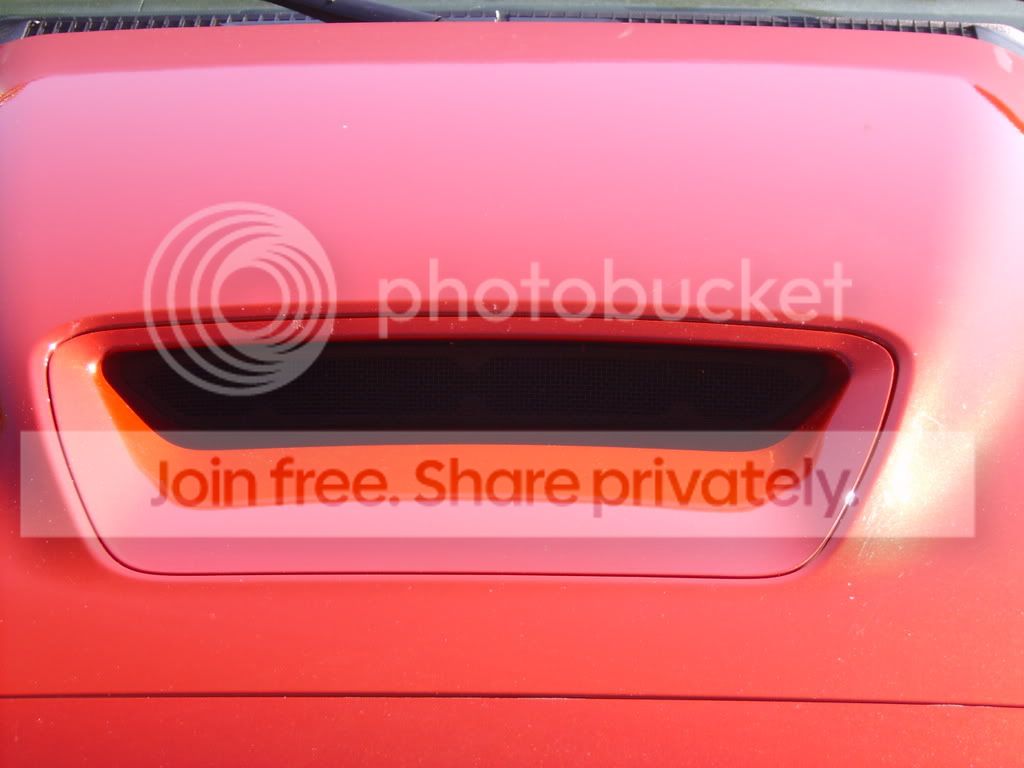 S5300010.jpg