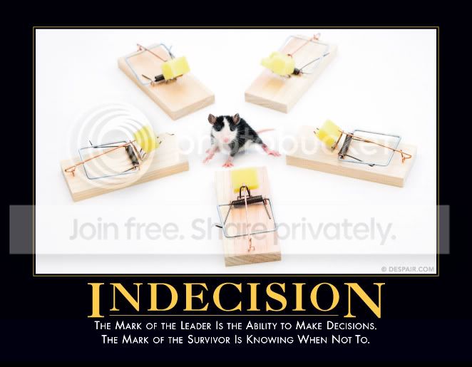 indecisiondemotivator.jpg