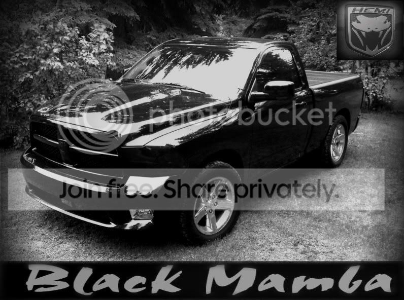 Black_Mamba_Logo1-3-2.jpg