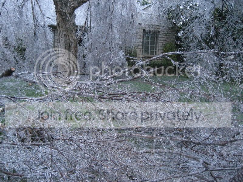 IMG_1391.jpg