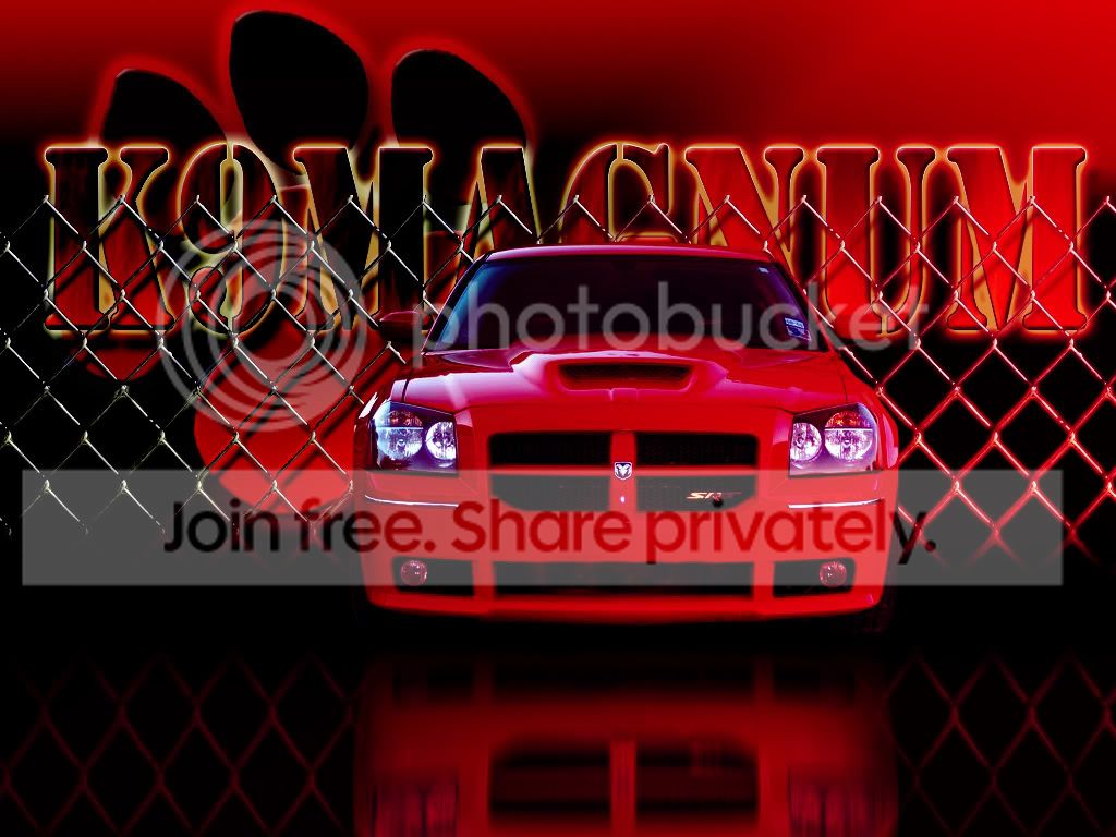 k9magnum.jpg