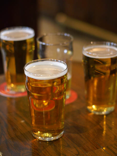 more_rex_beer.jpg