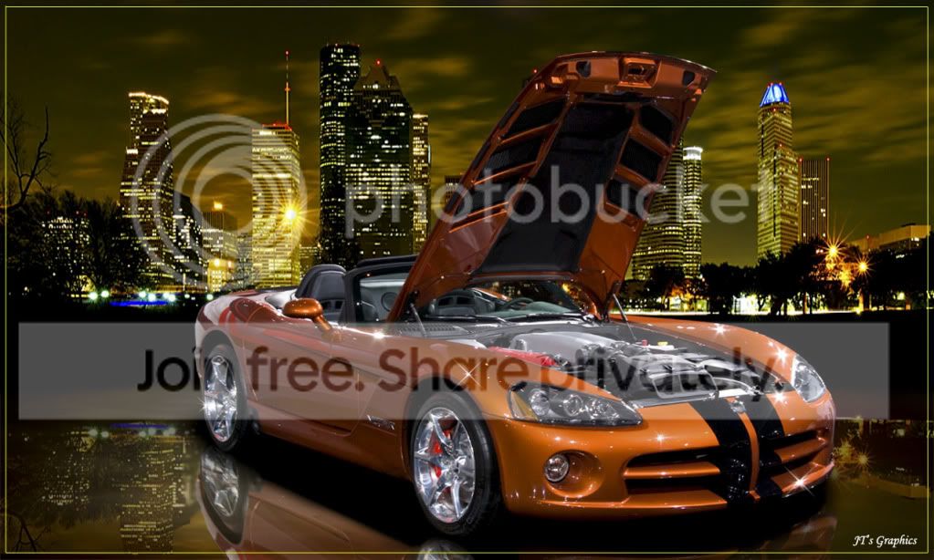 Org-Viper-22.jpg
