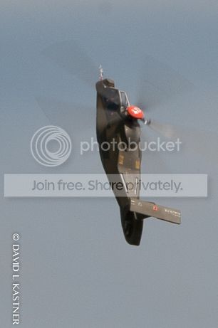 SouthernScaleChallenge2013-85.jpg