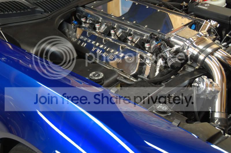 WaltViper4.jpg